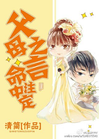 父母之言 命中注定[婚恋]