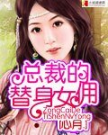 《总裁的替身娇妻(又名:总裁的替身女佣)》