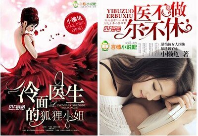 冷面医生的狐狸小姐