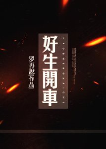 《好生开车》