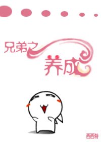 兄弟之养成