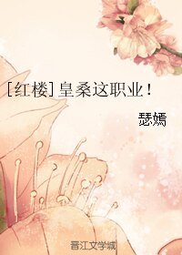 《(红楼同人)皇桑这职业!》