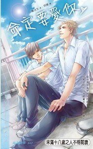 《命定要爱你(出书版)》