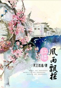 《(红楼同人)红楼之风雨飘摇/红楼也有江湖》