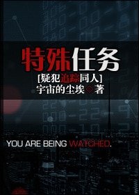 （疑犯追踪同人）特殊任务