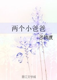 《两个小爸爸》