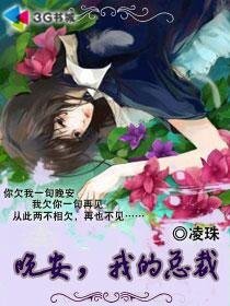 晚安我的总裁