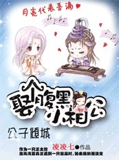 《公子倾城:娶个腹黑小相公》