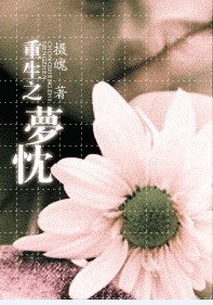 《重生之梦忱》