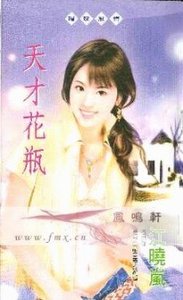 《天才花瓶(花瓶系列)》