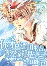 《(BL/家教同人)你才是泽田纲吉,你全家都是泽田纲吉》