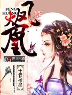 特工十九妾/火凤凰