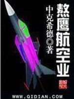 《熬鹰航空业》