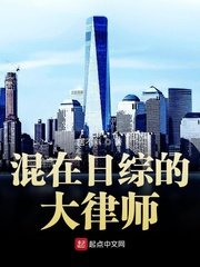 （综同人）混在日综的大律师