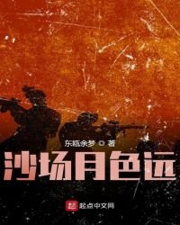 《沙场月色远》