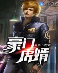 《豪门虎婿》