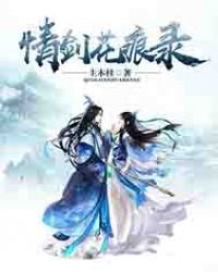 《情剑花痕录》