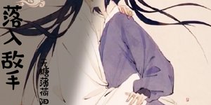 《落入敌手》