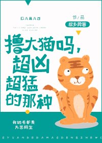 《撸大猫吗,超凶超猛的那种!》