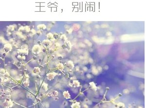 《王爷 ,别闹!》