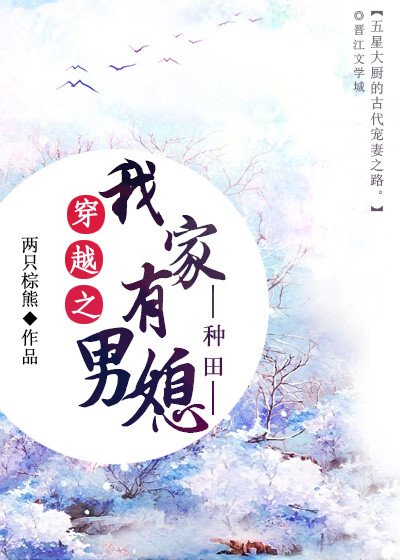 《穿越之我家有男媳》