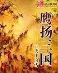 《鹰扬三国》