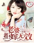 《求婚101:老婆,拒嫁无效》