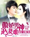 《豪门霸宠:傲娇男神追妻难》
