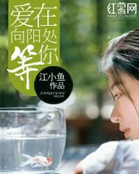 《爱在向阳处,等你》