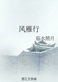 《风雁行》