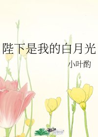 陛下是我的白月光