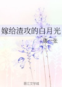《嫁给渣攻的白月光》
