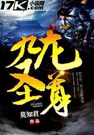 《九龙圣尊》