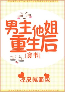 《男主他姐重生后》