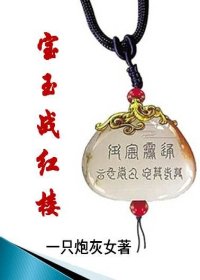 （BG/红楼同人）宝玉战红楼