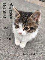 （BG/全职同人）[全职高手]她和她的猫