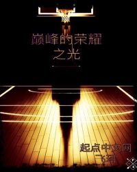 《巅峰的荣耀之光》