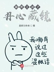 《霹雳江湖之丹心藏镜》