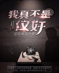 《我真不是汉奸》