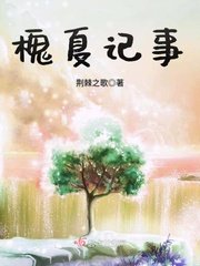 《槐夏记事》