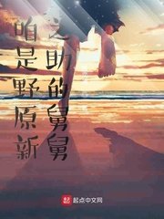 《咱是野原新之助的舅舅》