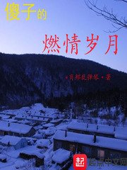《傻子的燃情岁月》