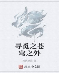 《寻觅之苍穹之外》