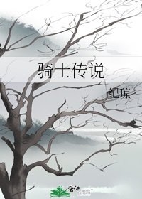 《骑士传说》