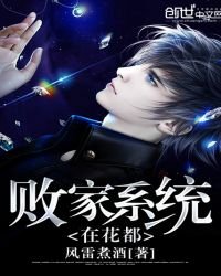 《败家系统在花都》
