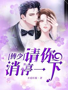 《傅少,请你消停一下》