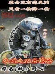 《斗破之万兽沸腾》