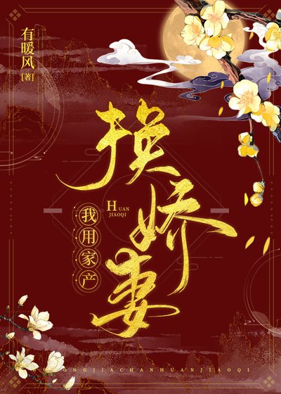 《我用家产换娇妻》