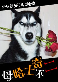 《母哈士奇不二!》