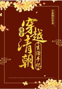 《穿越清朝生活手记(清穿)》